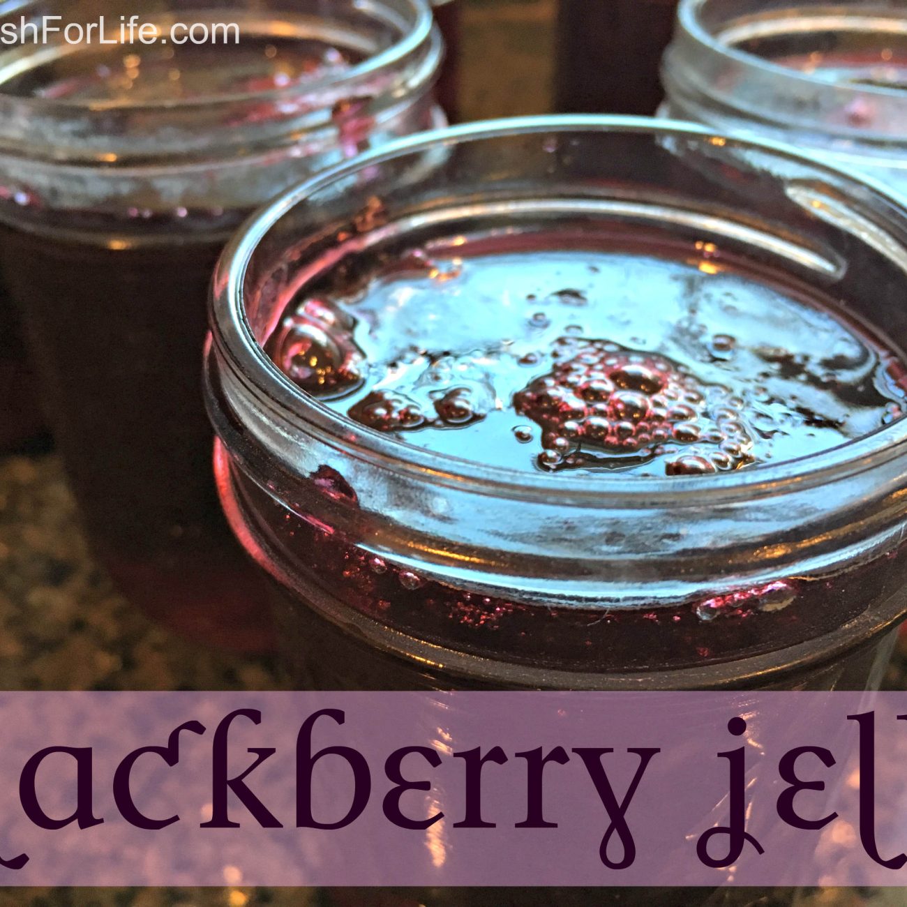 Blackberry Jelly