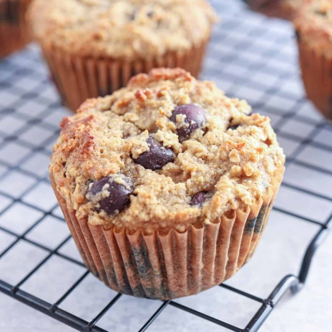 Blueberry Oatmeal Muffins