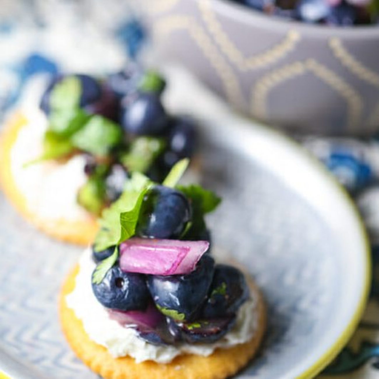 Blueberry Salmon Salsa