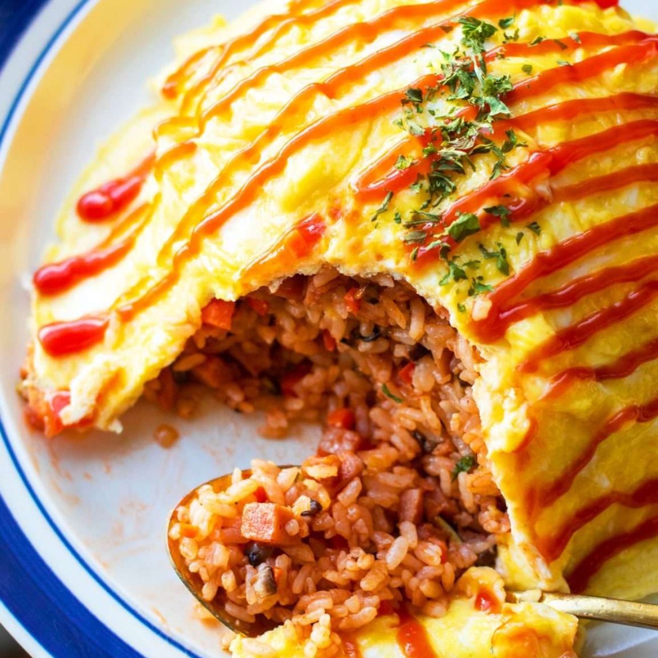 Brown Rice With Omelet