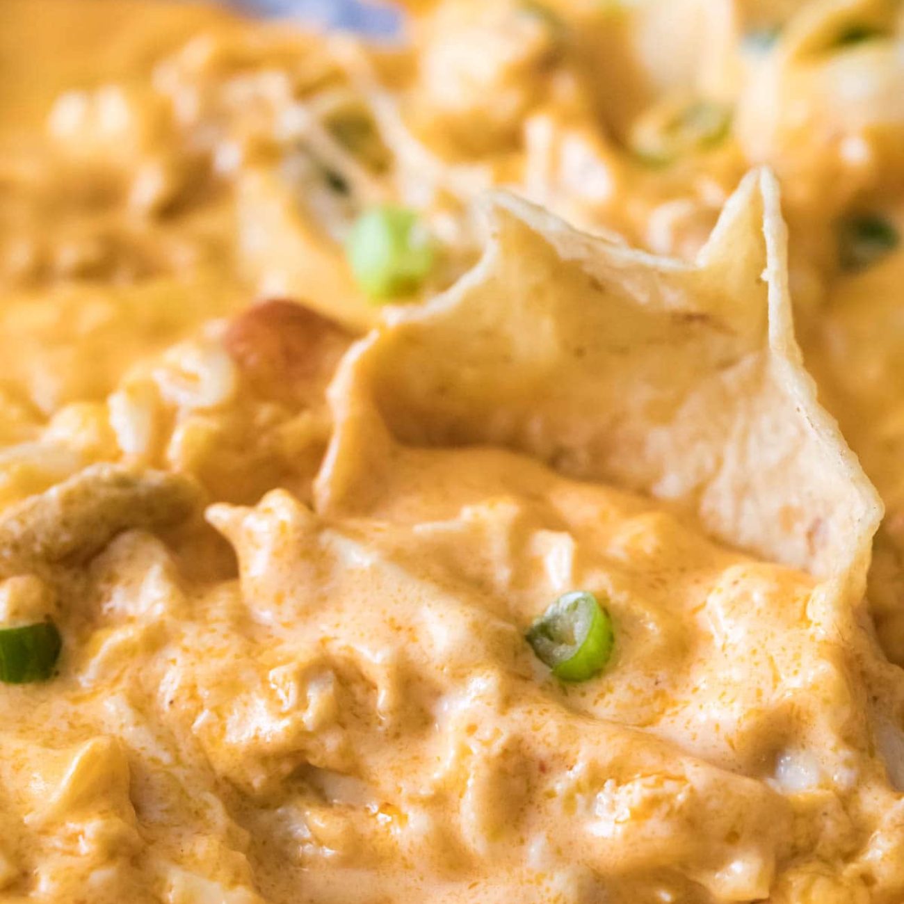 Buffalo Wing Dip Iii