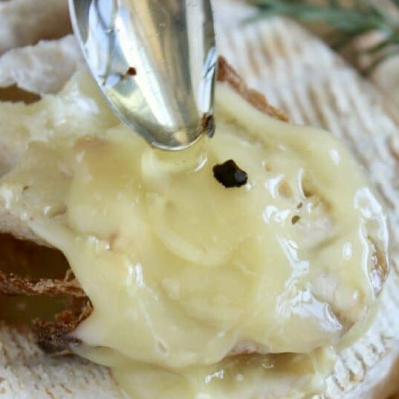 Camembert With White Truffle Cream