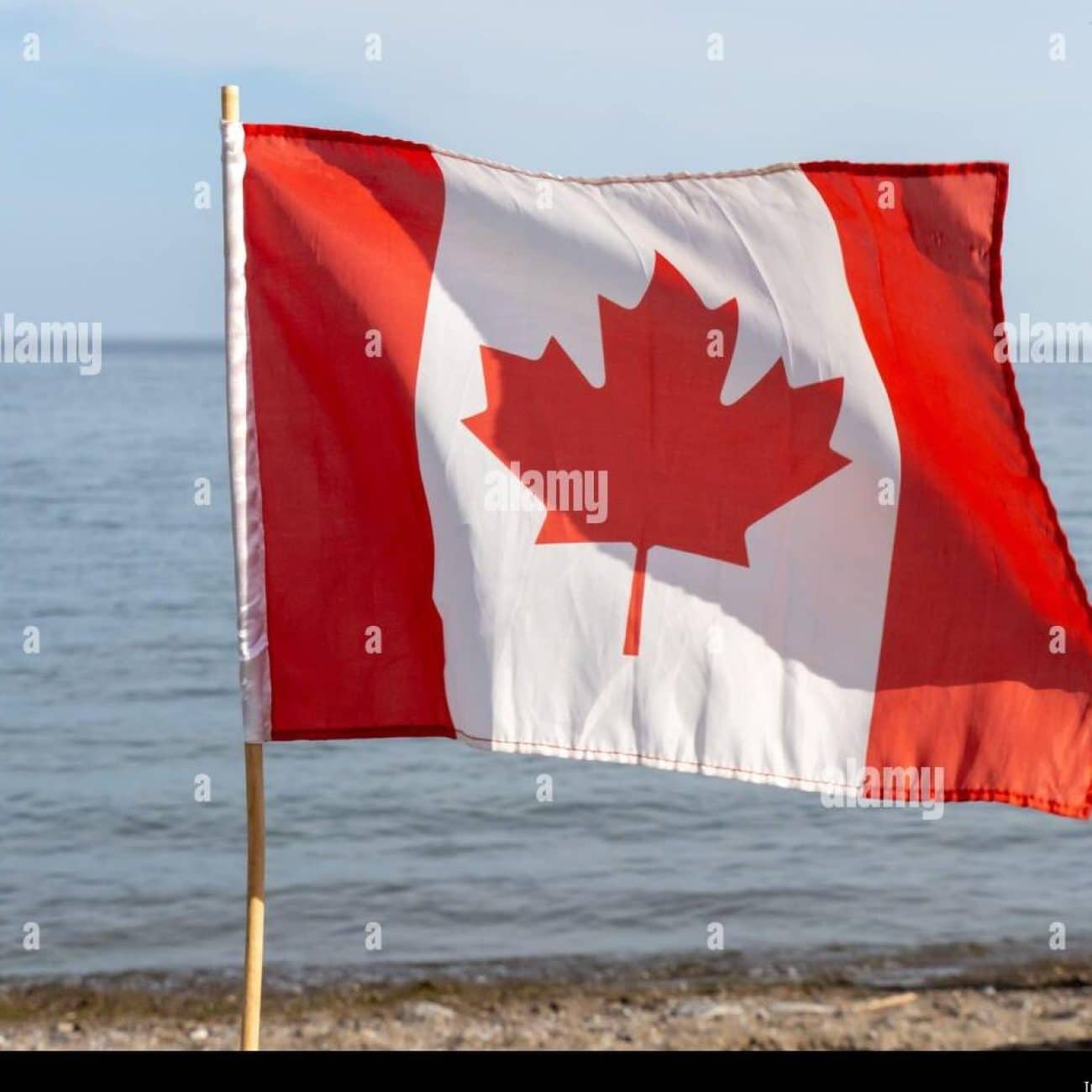 Canadian Flags On The Beach