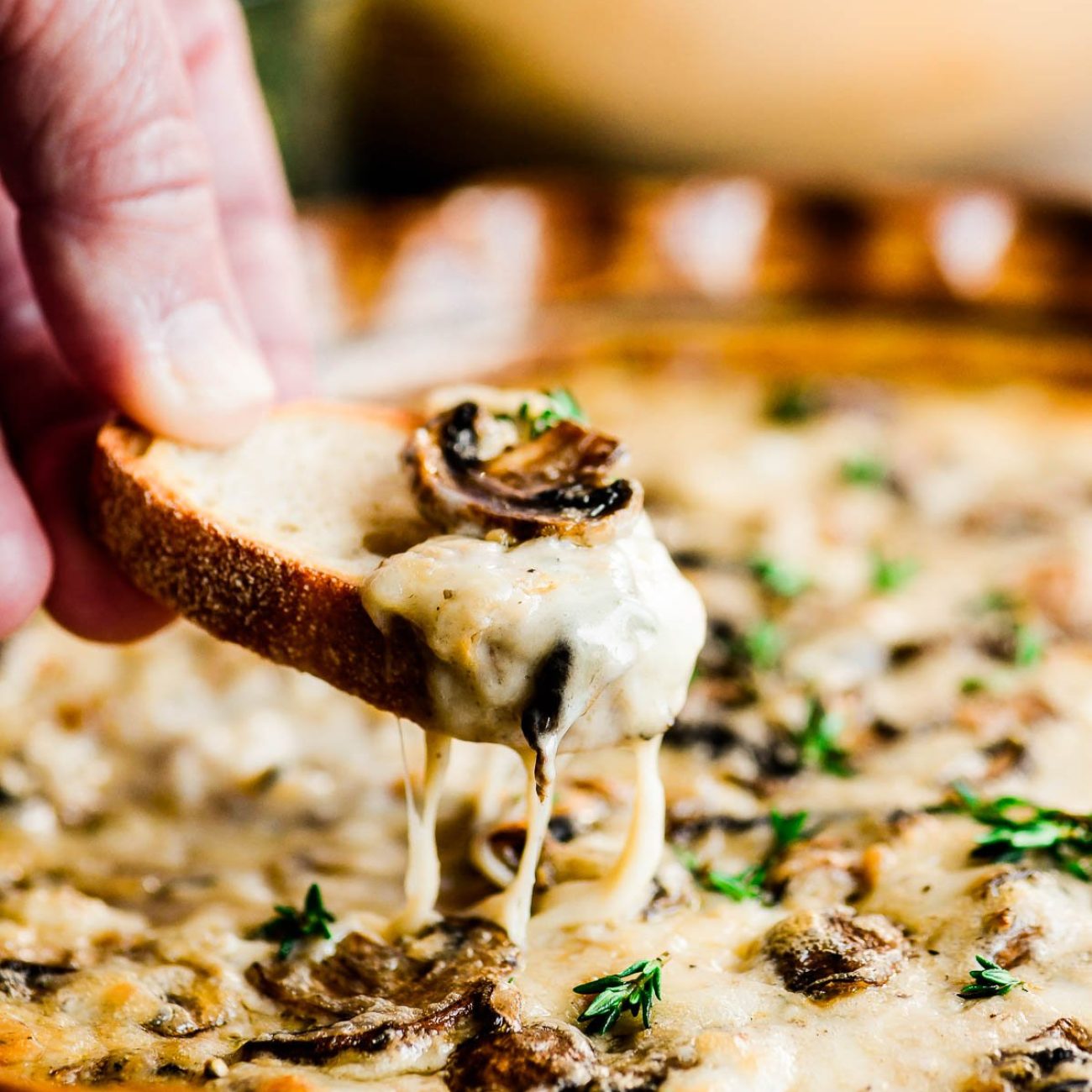 Cheesy Mushroom Appetizers