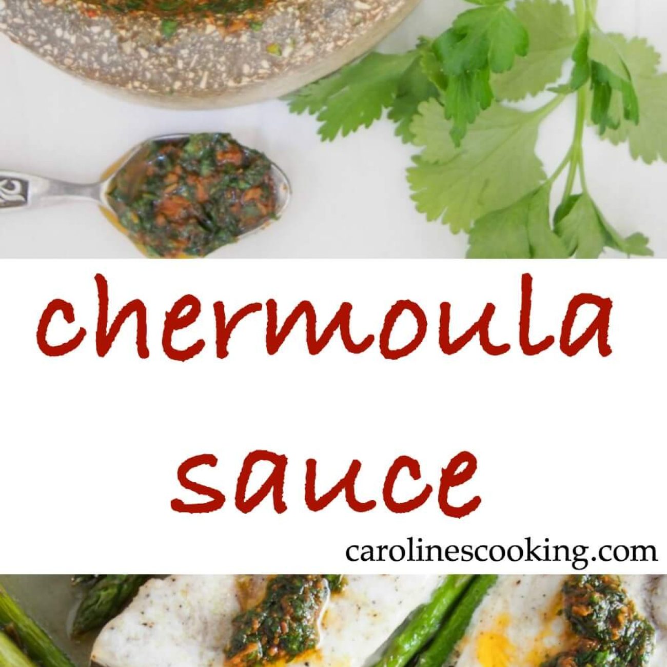 Chermoula Moroccan Fish Marinade