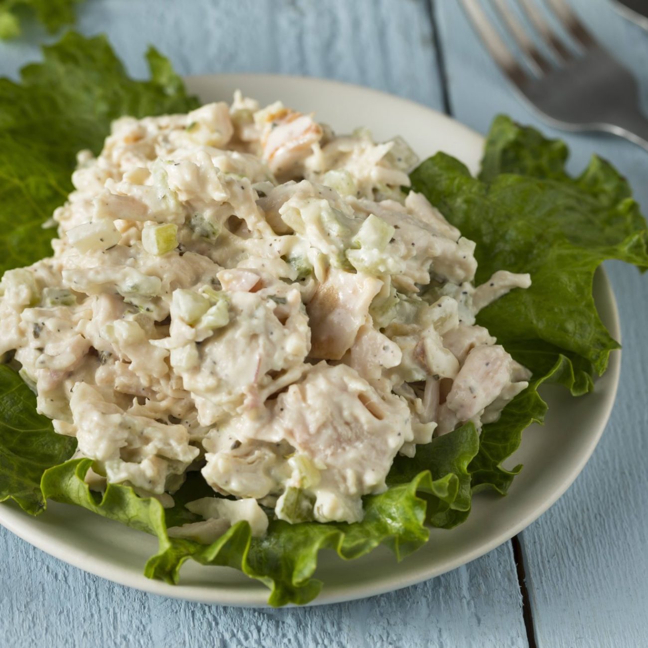 Chicken Salad Indio