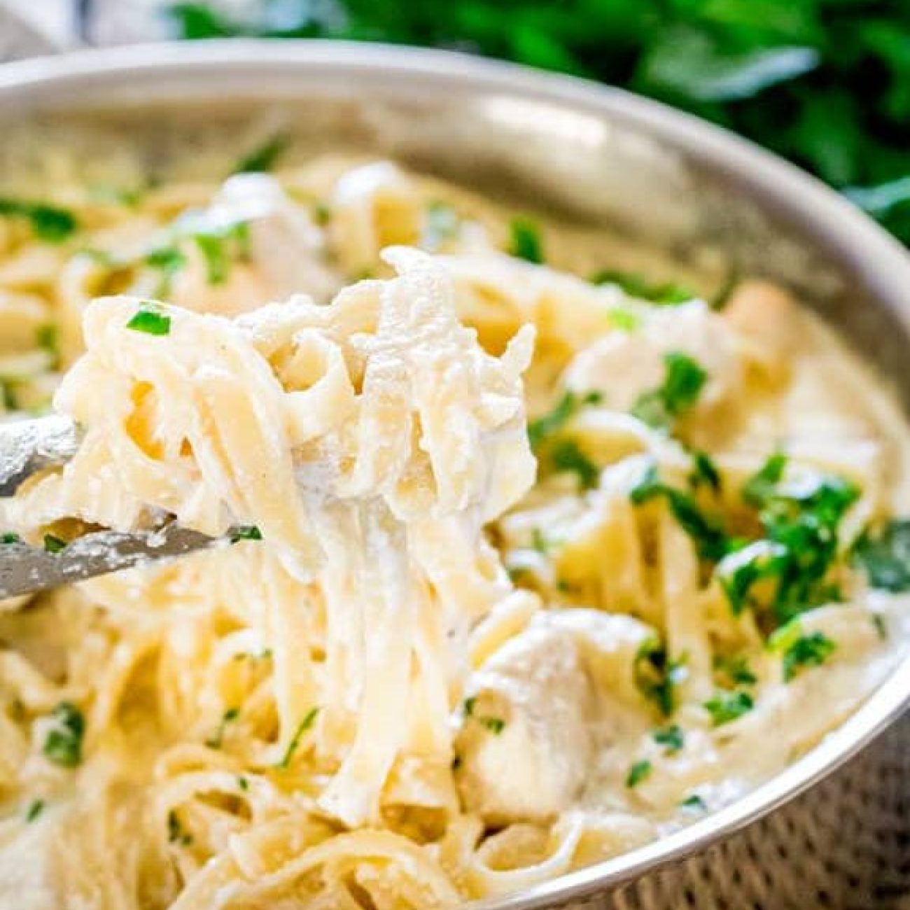 Chicken With Fettuccine Alfredo