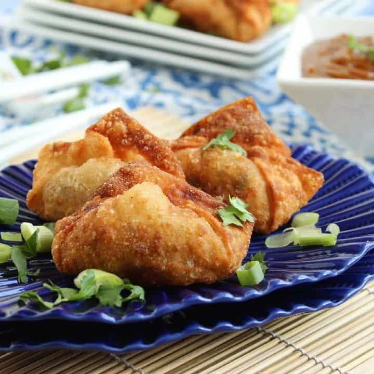 Chicken Won Tons With Hoisin- Peanut Dipping