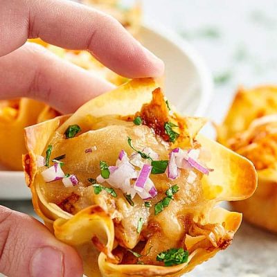 Chicken Wonton Rolls