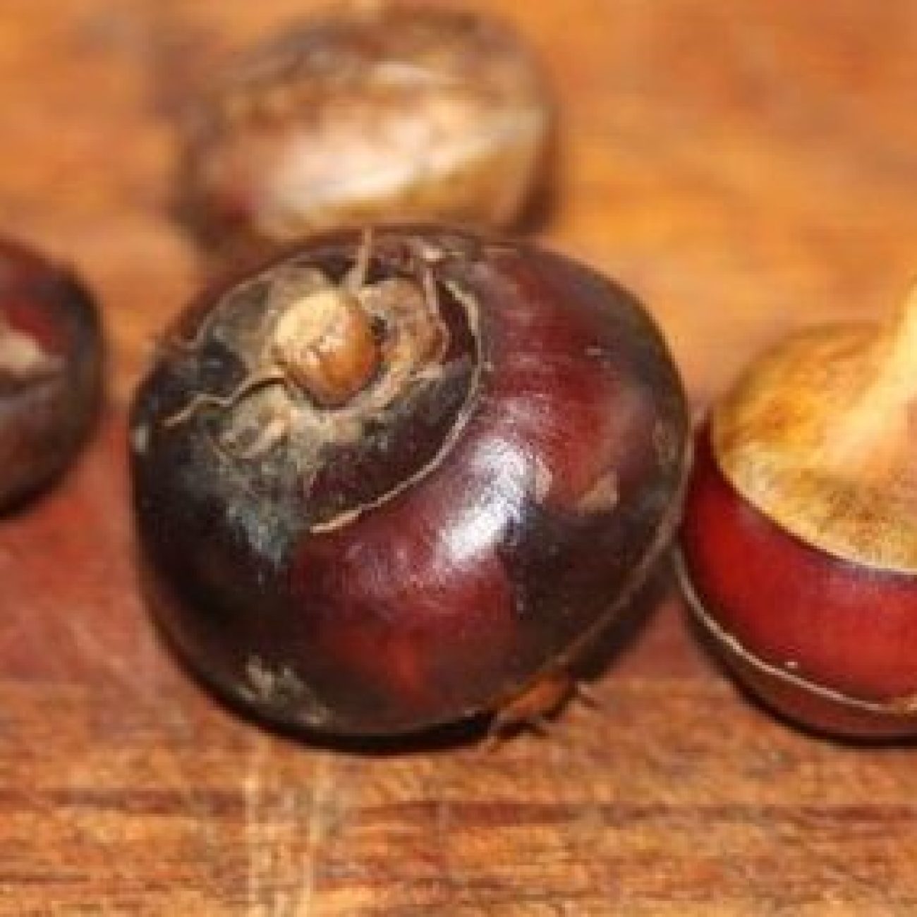 Chinese Water Chestnuts