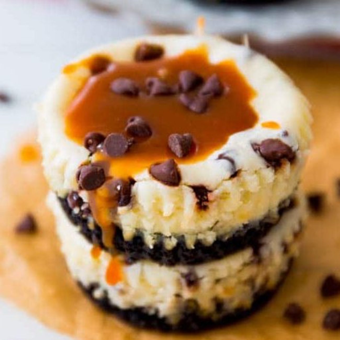 Chocolate Chip Cheesecake With Oreo Cookie