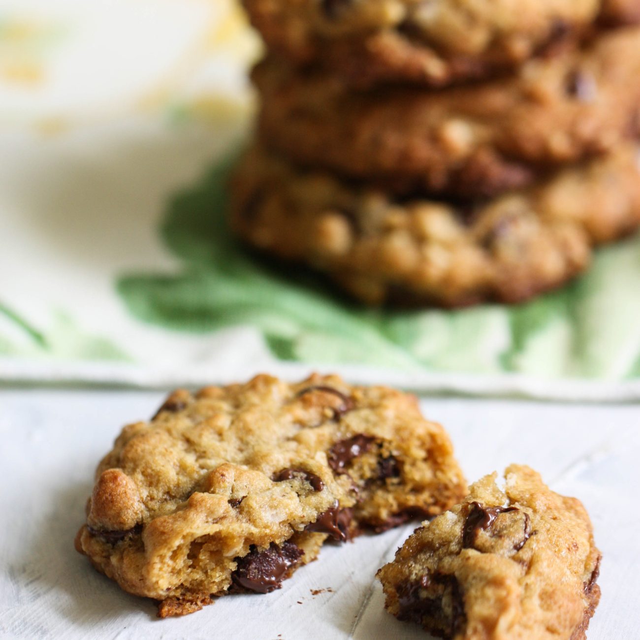 Chocolate Chip, Oatmeal, Walnut And Coconut