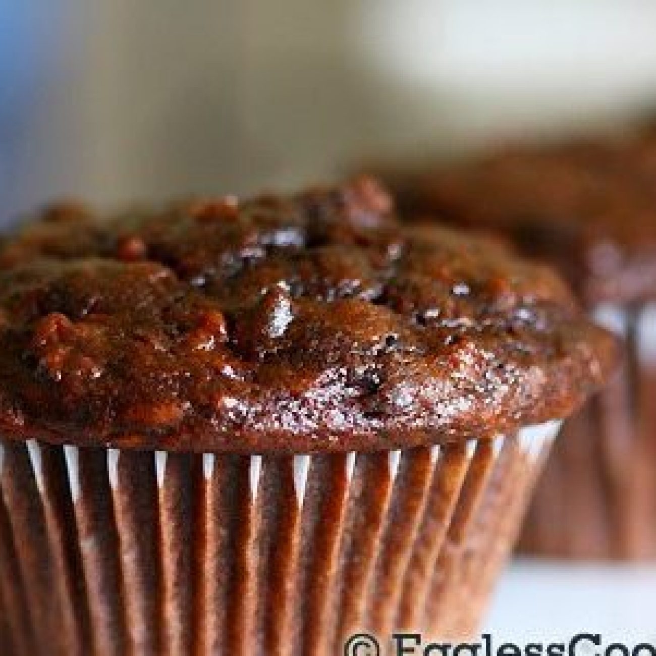 Chocolate Fiber Muffins