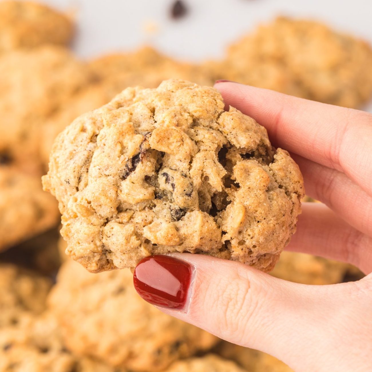 Chocolate Raisin Biscuits Gluten Free Or