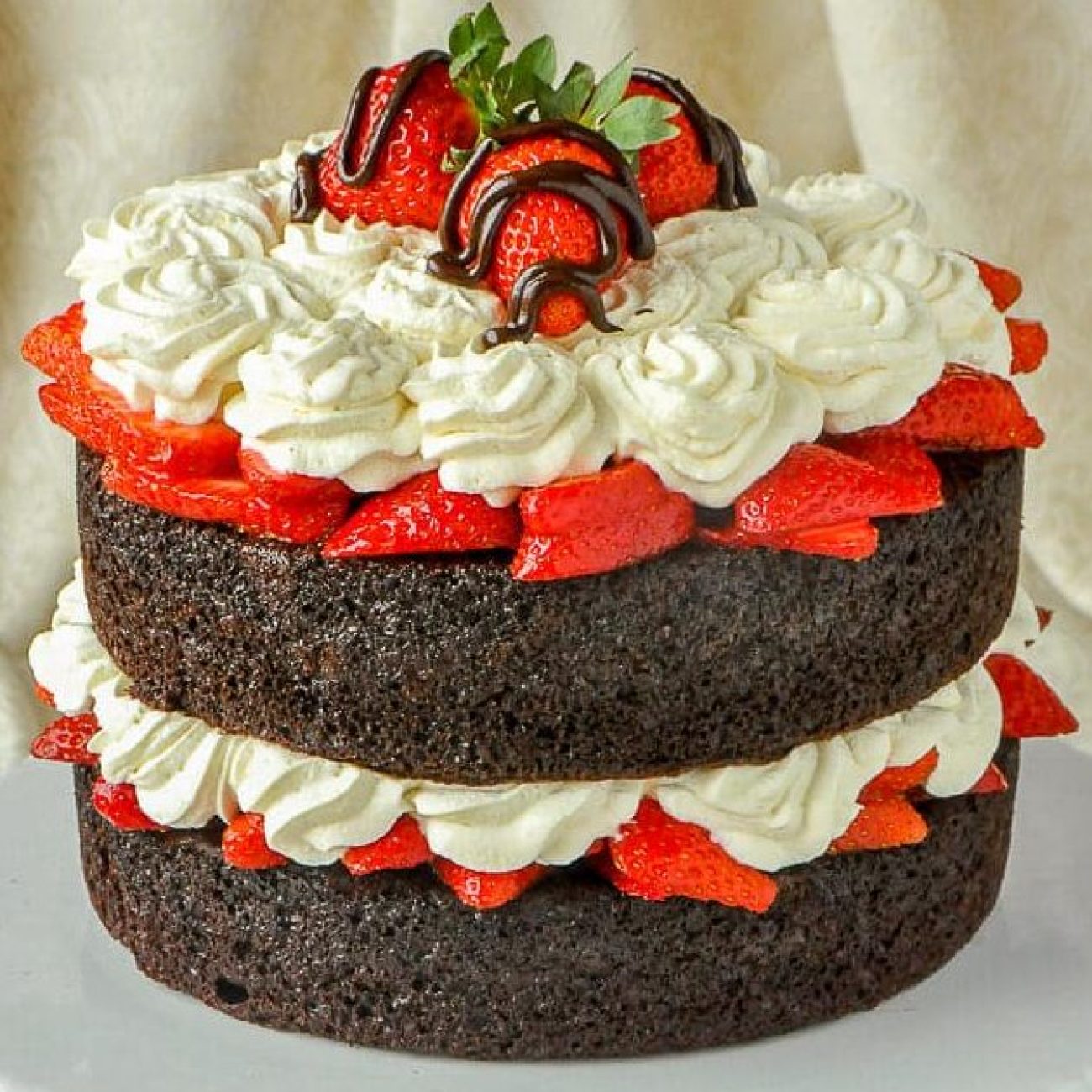 Chocolate Strawberry Shortcake