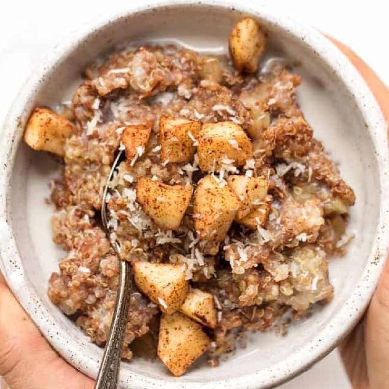 Cinnamon Applesauce Breakfast