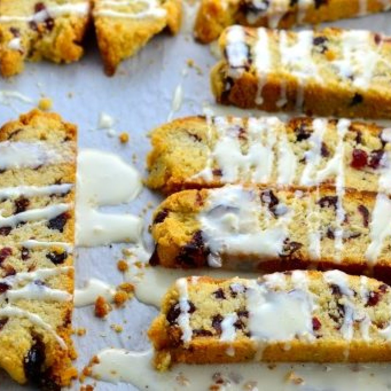 Cranberry Biscotti With Chocolate