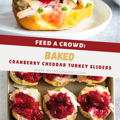 Cranberry Cheddar Turkey Snacks