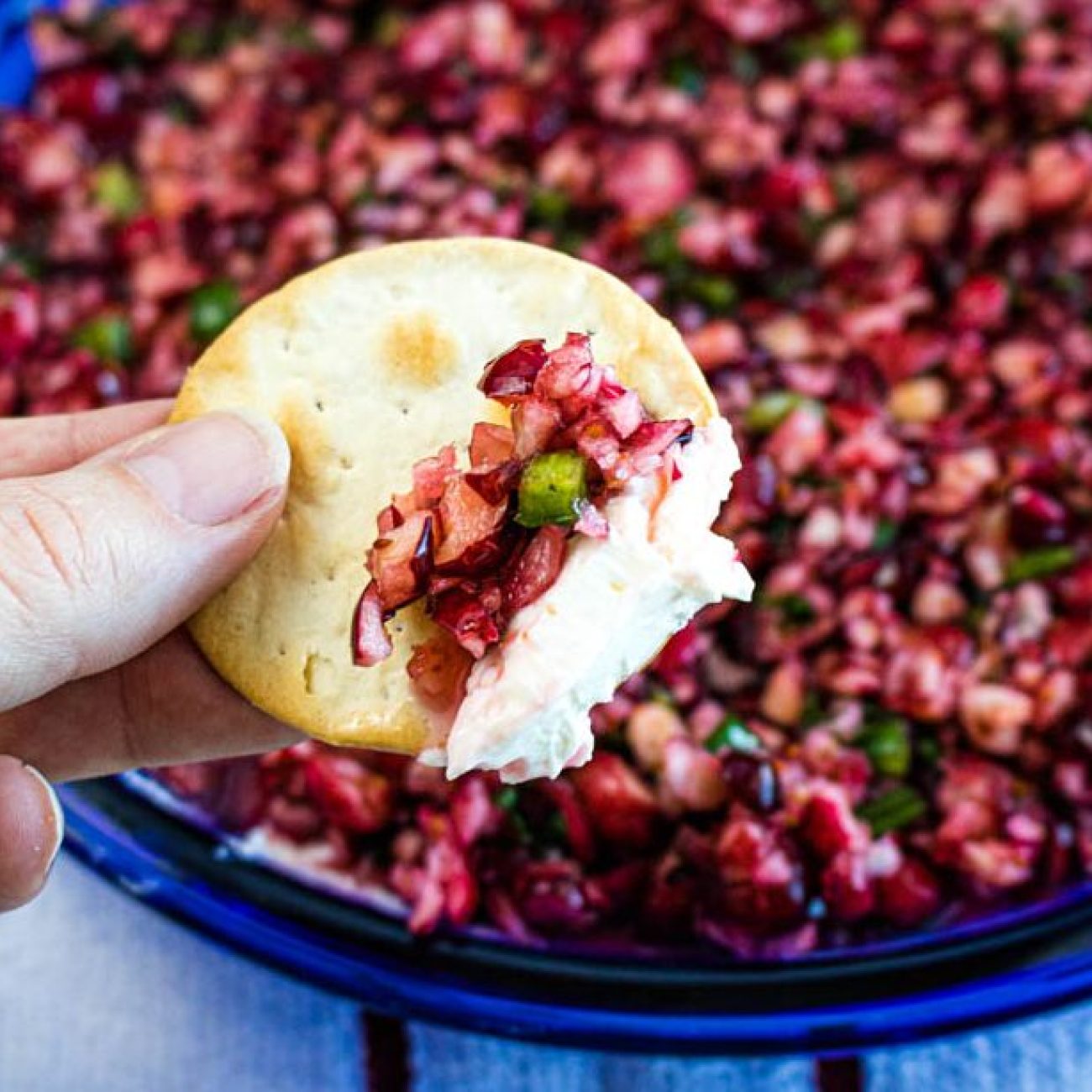 Cranberry Dip