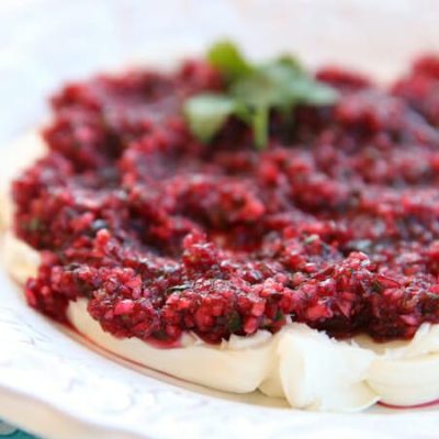 Cranberry Salsa Delight By Val: A Festive Recipe