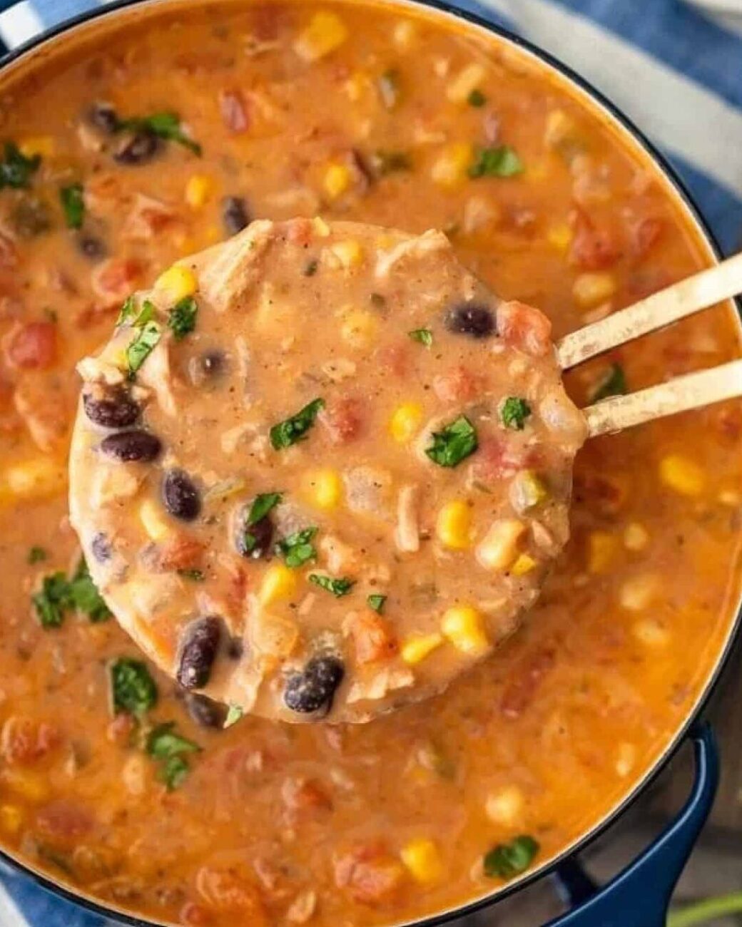 Cream Of Tortilla Soup