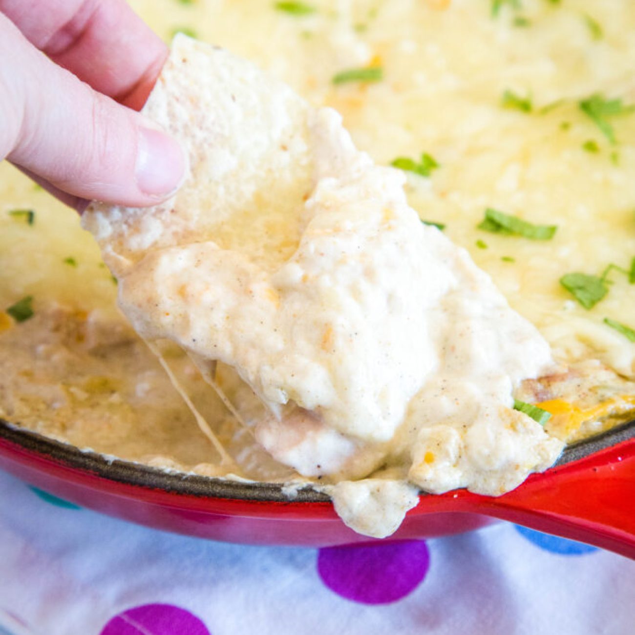 Creamy Chicken Enchilada Dip with Sour Cream