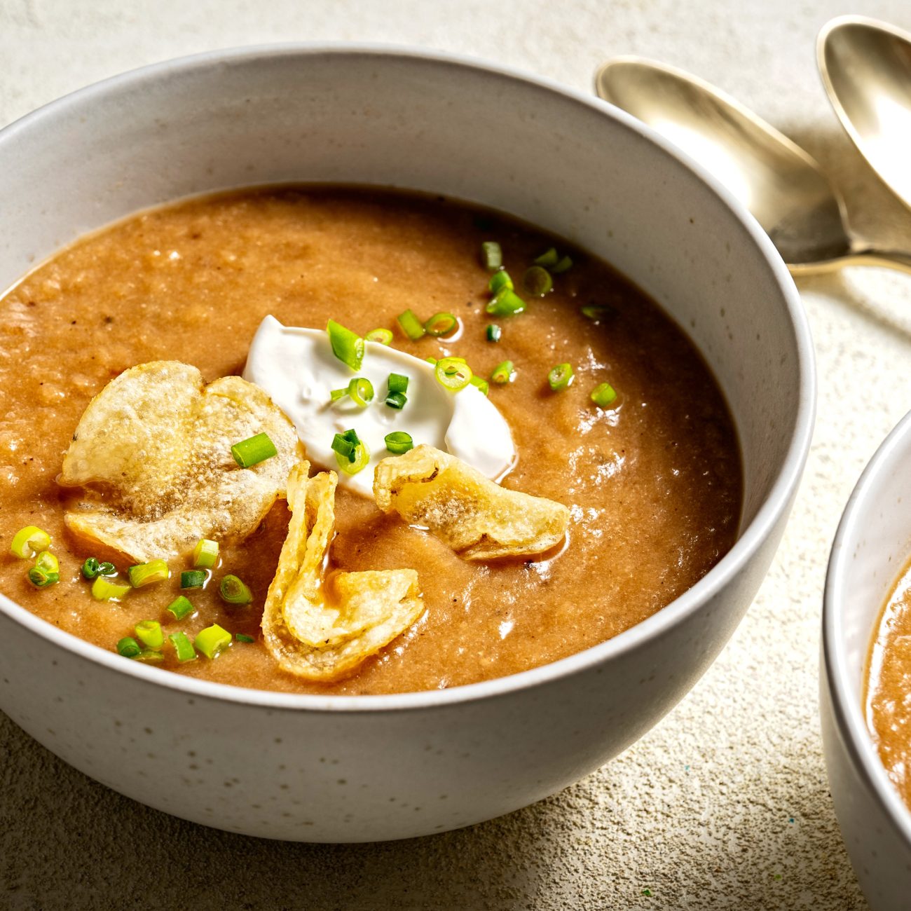 Creamy Chicken, Vidalia, And Cheese Soup