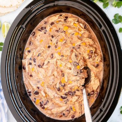 Creamy Southwestern Chicken Dip