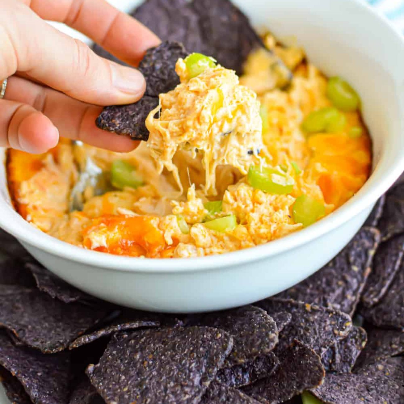 Creamy Spicy Chicken Dip with Cream Cheese