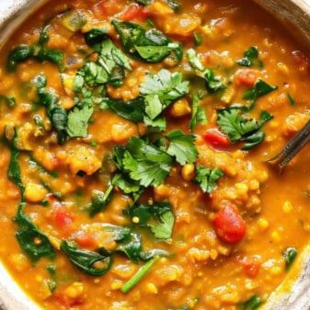 Creamy Spinach Lentil Dahl Recipe