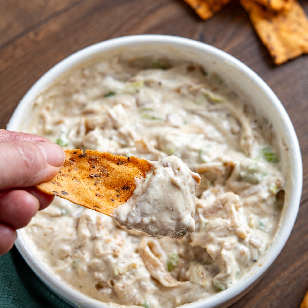 Creamy Vidalia Onion and Cheese Dip Delight