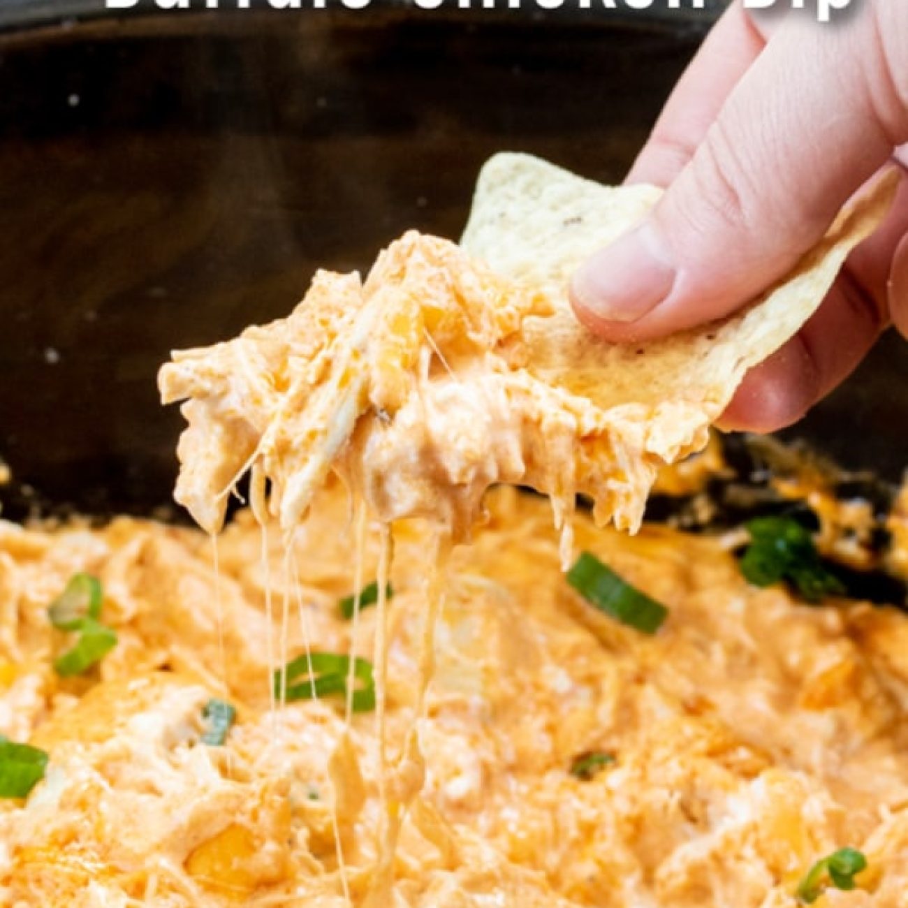 Crock Pot Mexican Chicken Dip