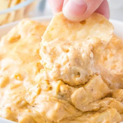 Crockpot Spicy Chicken Queso Dip