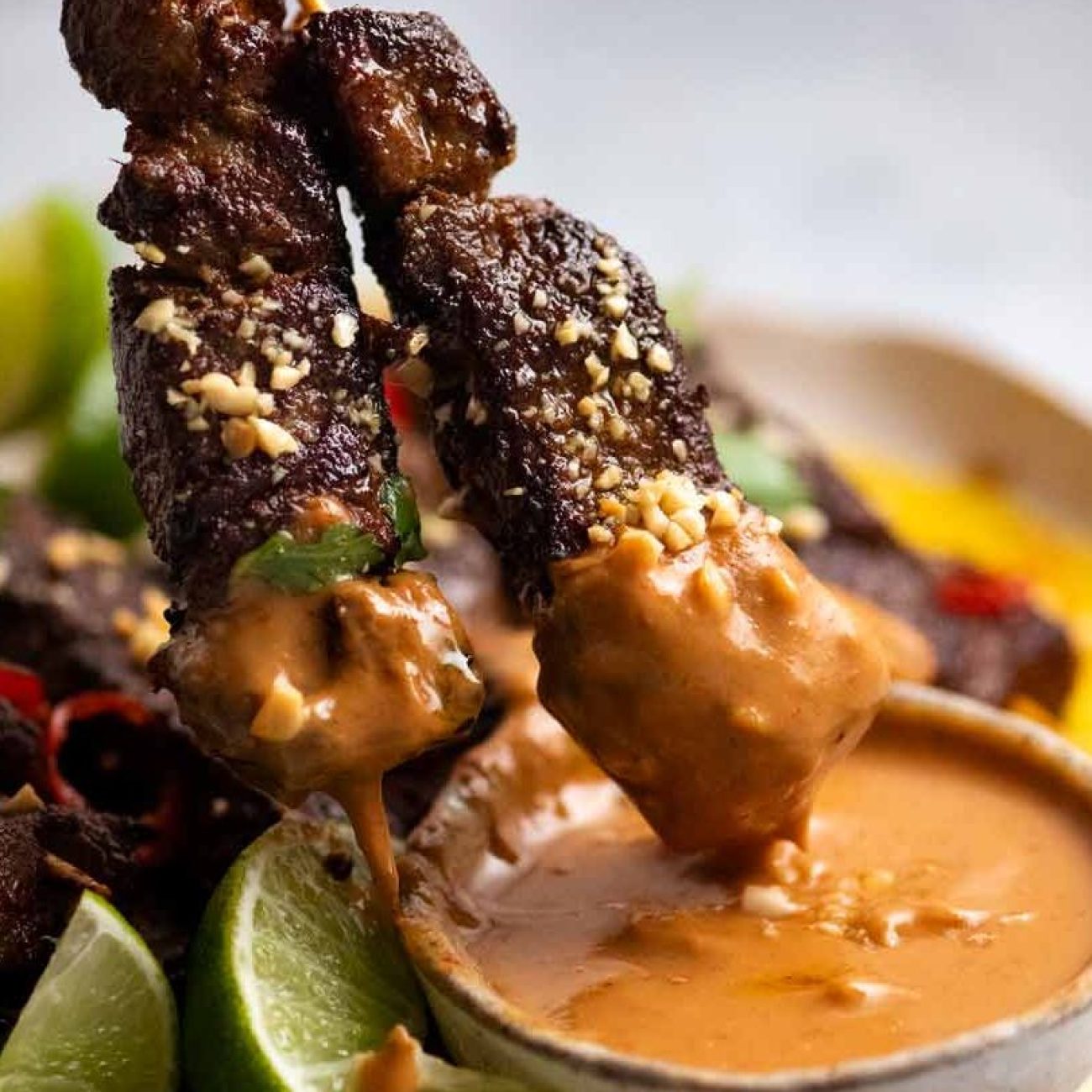 Curried Beef And Chicken Satay