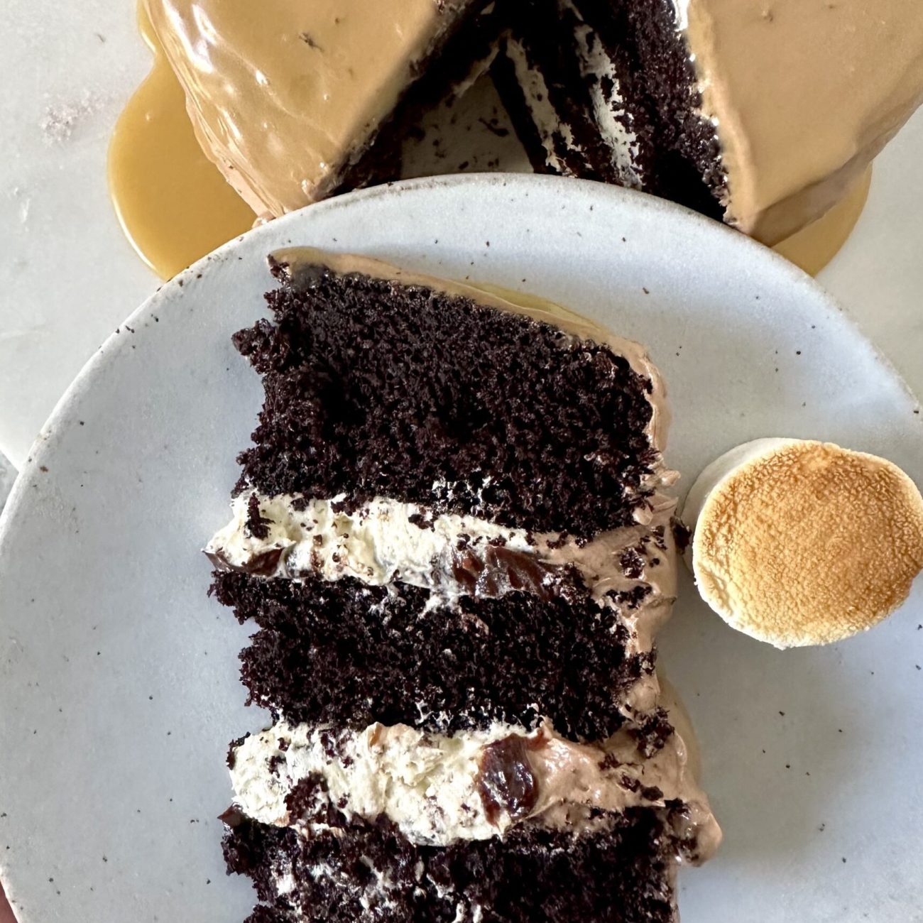 Decadent Triple Malted Chocolate Cake with Creamy Vanilla Frosting