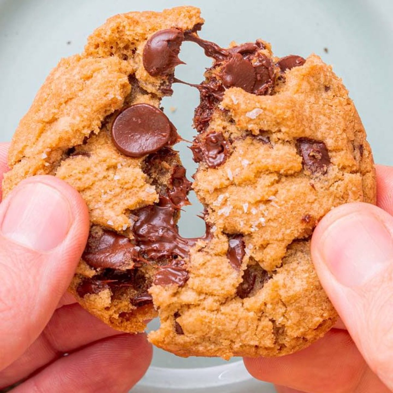 Decadent Vegan Chocolate Chip Cookie Dough Bliss