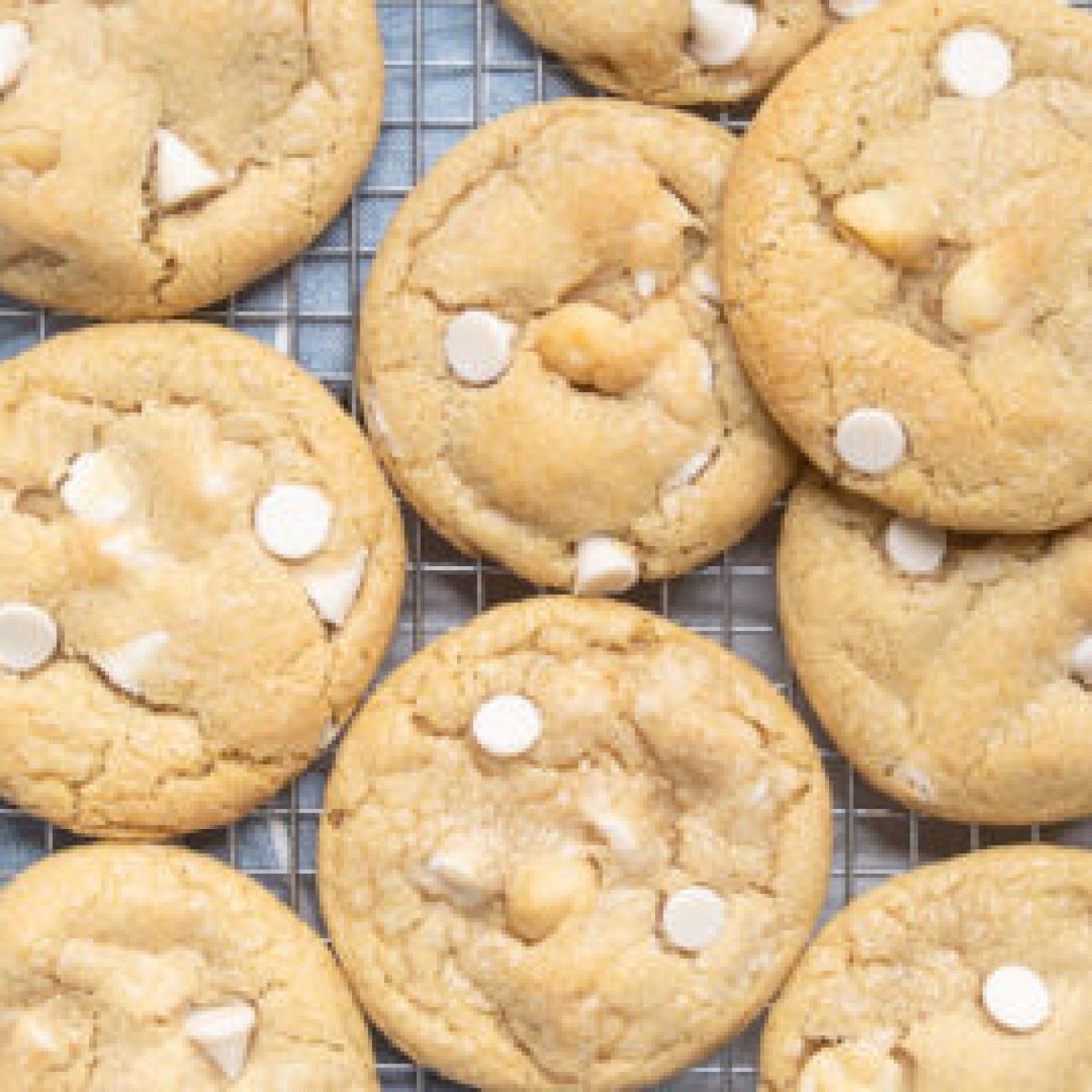 Decadent Vegan Chocolate Macadamia Nut Cookies