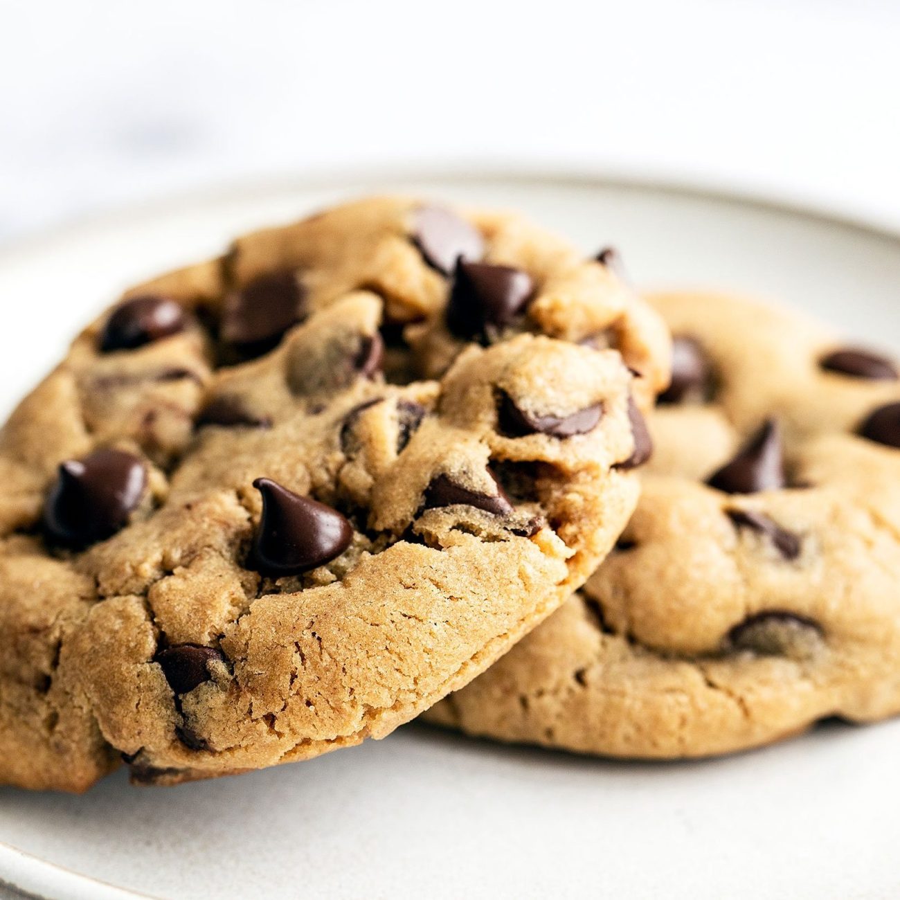 Delicious Chewy Peanut Butter Chocolate Chip