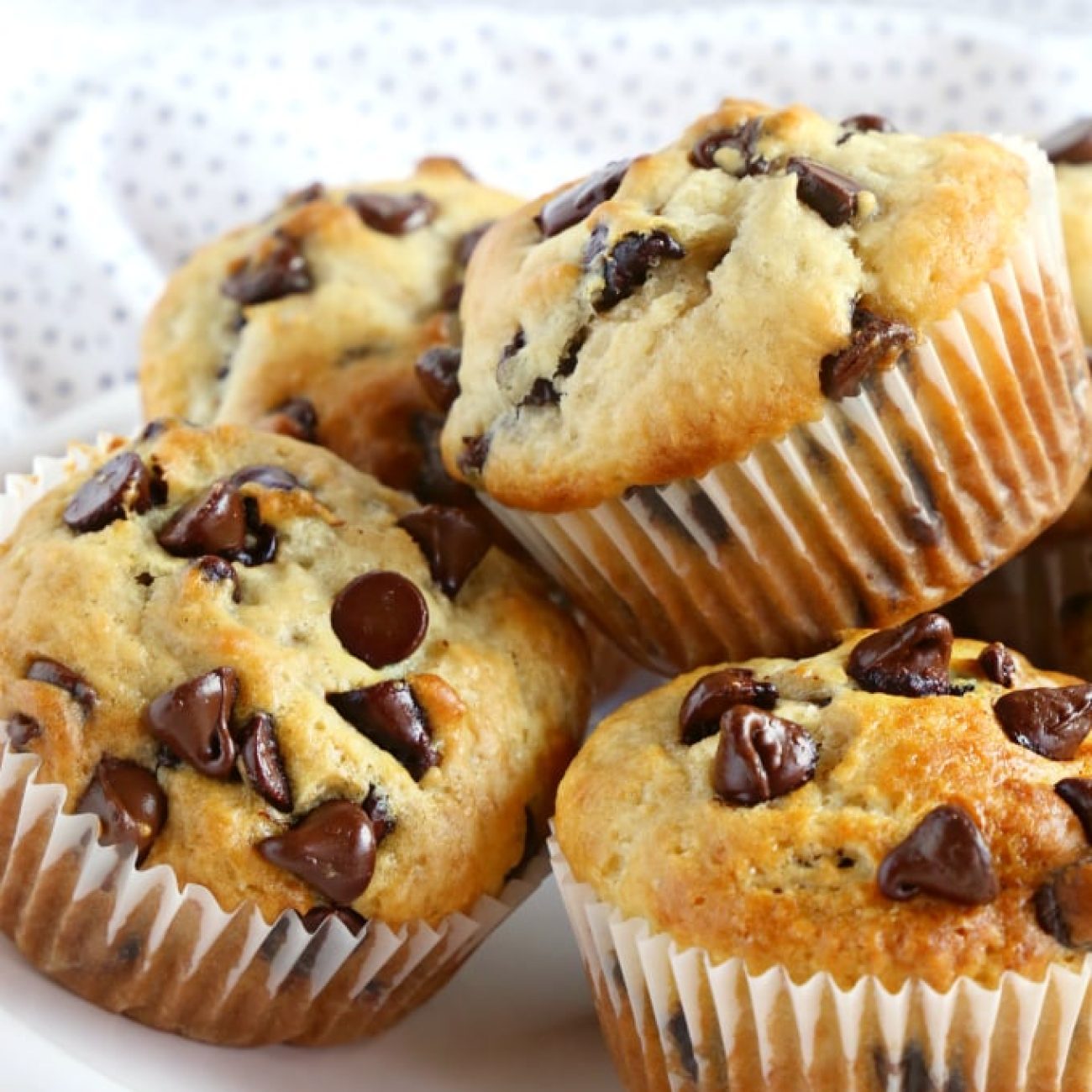 Delicious Yogurt Chocolate Chip Muffin Recipe