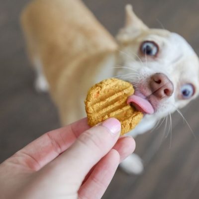 Dog Cookies