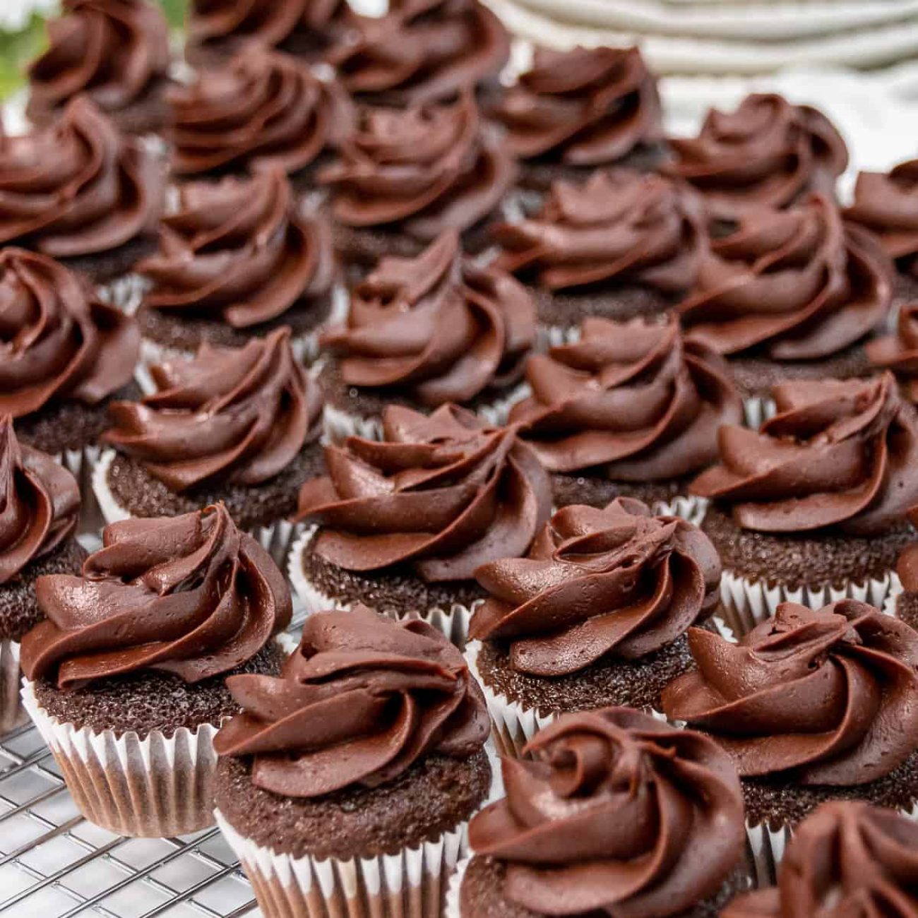 Double Chocolate Mini Cupcakes