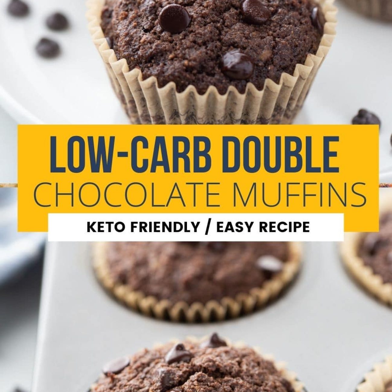 Double Chocolate Muffins Low