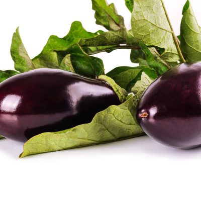 Eggplant Aubergine New Iberia