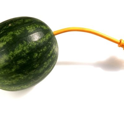 Electric Melon