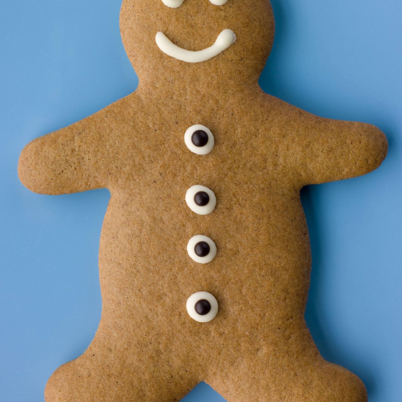 Ellens Spicy Gingerbread Men