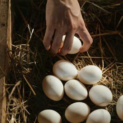 Far-East Deviled Eggs