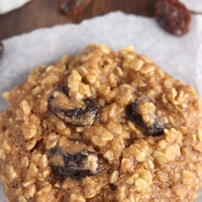 Fat-Free Chewy Chocolate Cookies