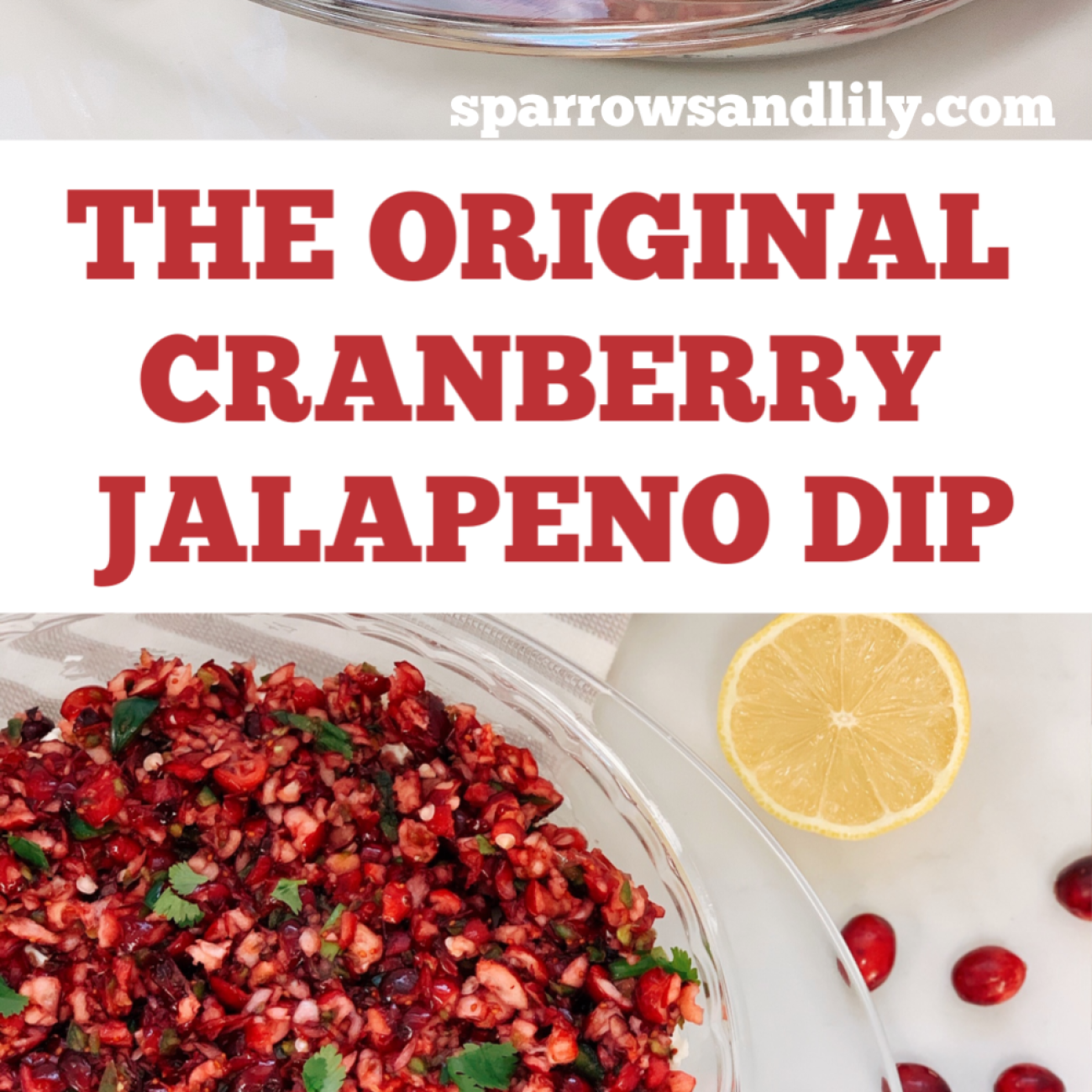 Five Ingredient Cranberry Fruit Dip