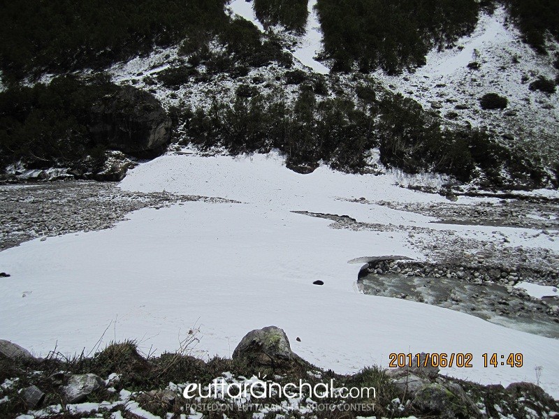 Flower Glaciers