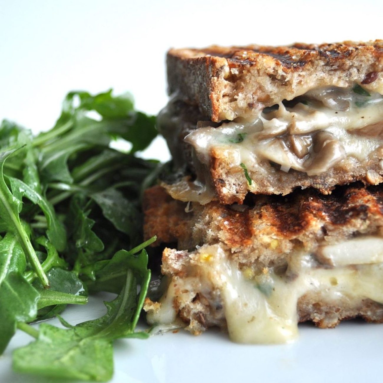 Fontina & Mushroom Panini